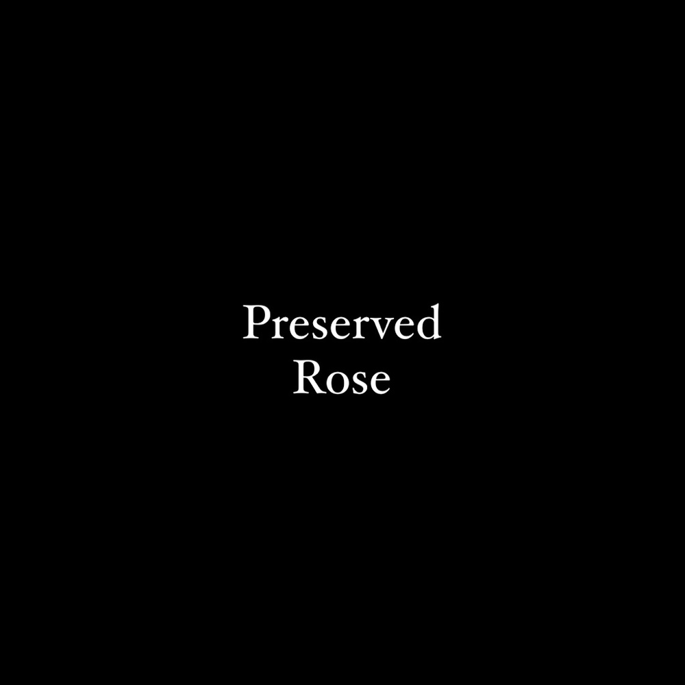 NIB Preserved Rose